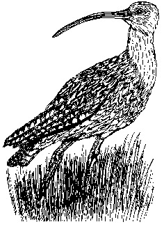 UK walking holidays and hiking vacations in England - Lake District, Yorkshire Dales, Cumbria. Small friendly groups, hotels and transport with experienced guides.